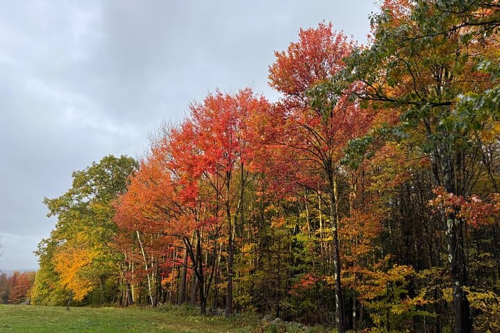 Vermont Fall Foliage Private Tour: Scenic Back-Roads, Covered Bridges & Summit Views
