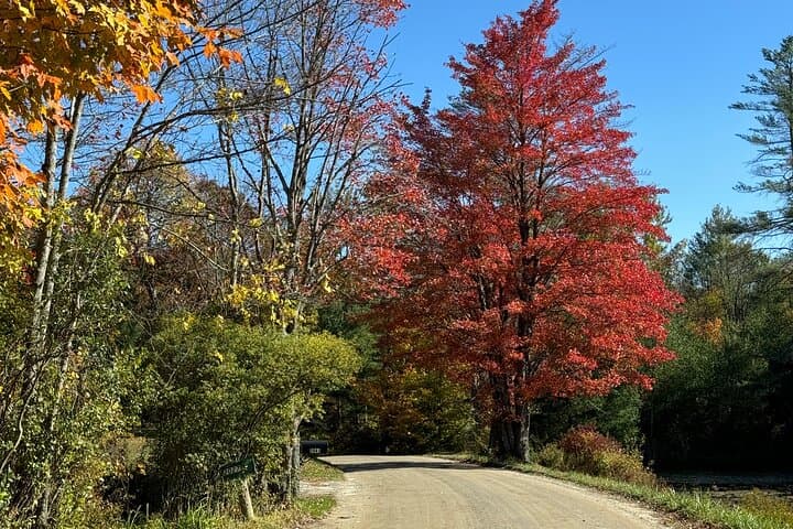 Vermont Fall Foliage Private Tour: Scenic Back-Roads, Covered Bridges & Summit Views photo 4