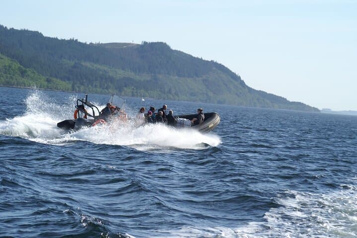 Speed RIB on Loch Linnhe: 90-Minute Wildlife & Ben Nevis Cruise from Fort William photo 5