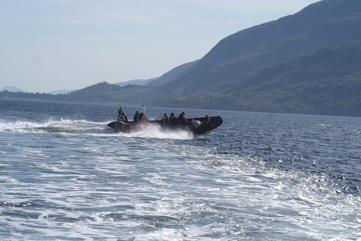 Speed RIB on Loch Linnhe: 90-Minute Wildlife & Ben Nevis Cruise from Fort William photo 6