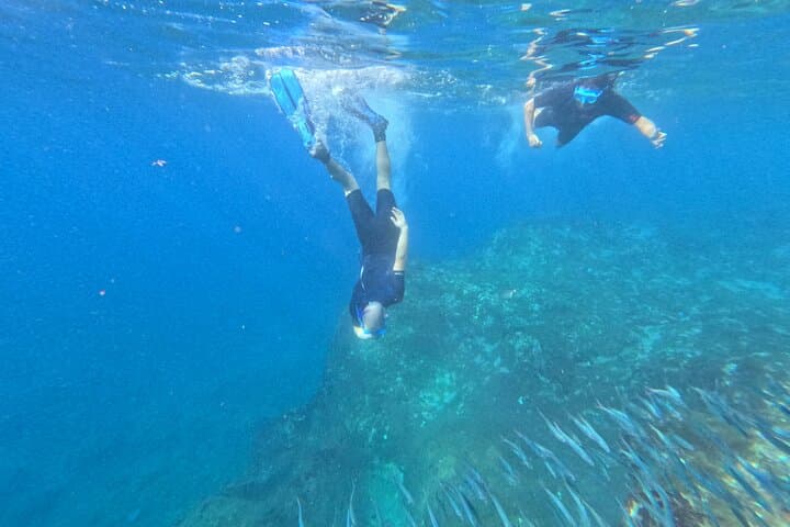 Kayak Turtle Bay & Snorkel with Dolphins — Palm-Mar Guided Tour, Tenerife photo 4