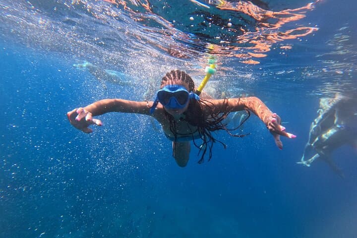 Kayak Turtle Bay & Snorkel with Dolphins — Palm-Mar Guided Tour, Tenerife photo 6