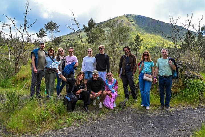 Hike Mt Vesuvius and Explore Pompeii: Day Tour from Naples with Lunch & Wine photo 2