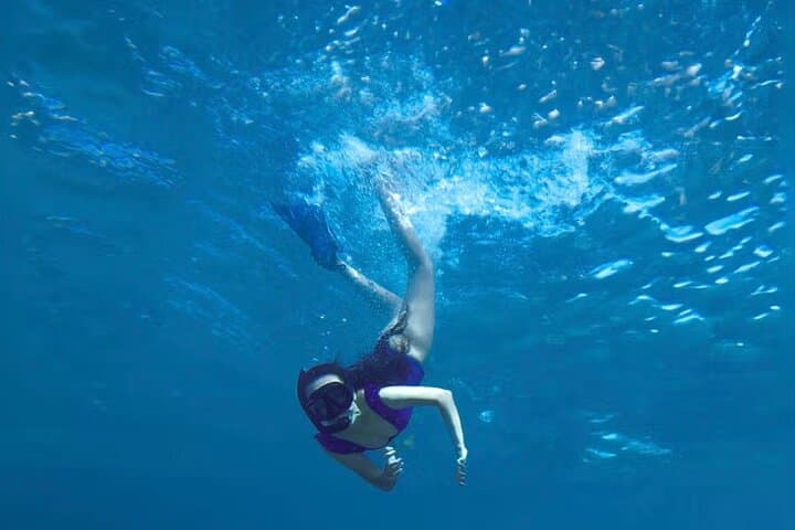 Two-Bay Cabo Catamaran Snorkel: Sailing, Paddleboarding & Marine Wildlife photo 3