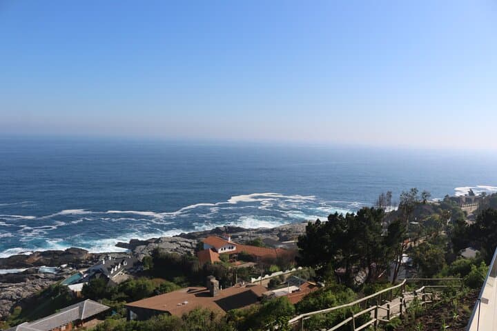 Zapallar Private Coastal Retreat: Exclusive 3-Day Stay with Local Fishing, Hidden Coves & Hill Views photo 3