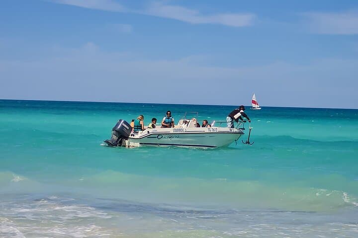 Djerba 1.5-Hour Dolphin Cruise with Swimming in Turquoise Waters