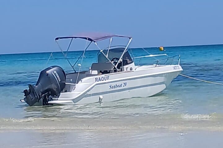 Djerba 1.5-Hour Dolphin Cruise with Swimming in Turquoise Waters photo 4