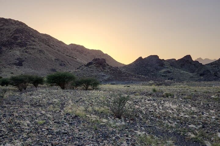Al Bidaa Mountain Hike — Guided Nature Reserve Trek Near Medina photo 5