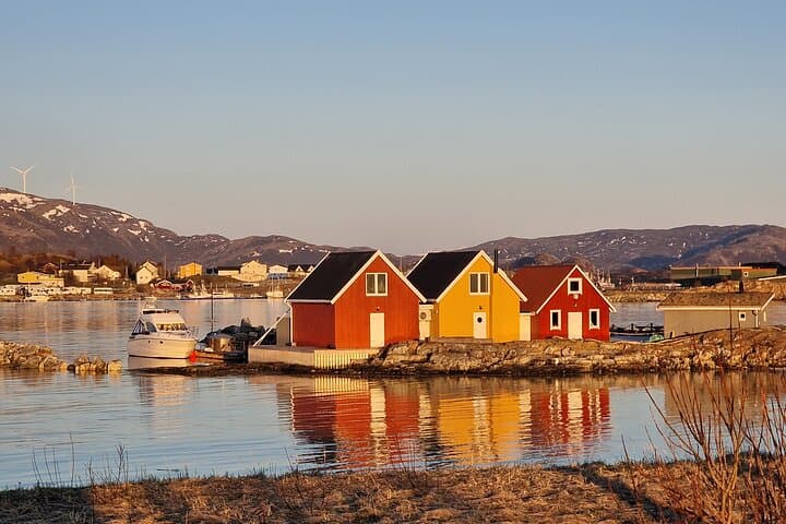 Tromsø Midnight Sun Fjord Adventure: Fjords, Wildlife & Seaside Lunch photo 2
