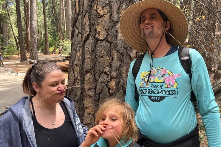 Evolution of Yosemite: 3-Hour Naturalist Hiking Tour in Yosemite Valley photo 3