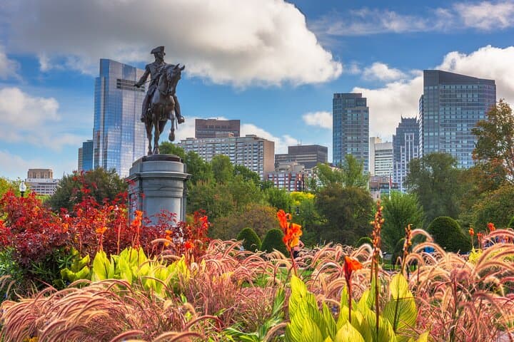 Explore Boston & Cambridge: A Private 7-Hour Discovery Tour Through History and Culture