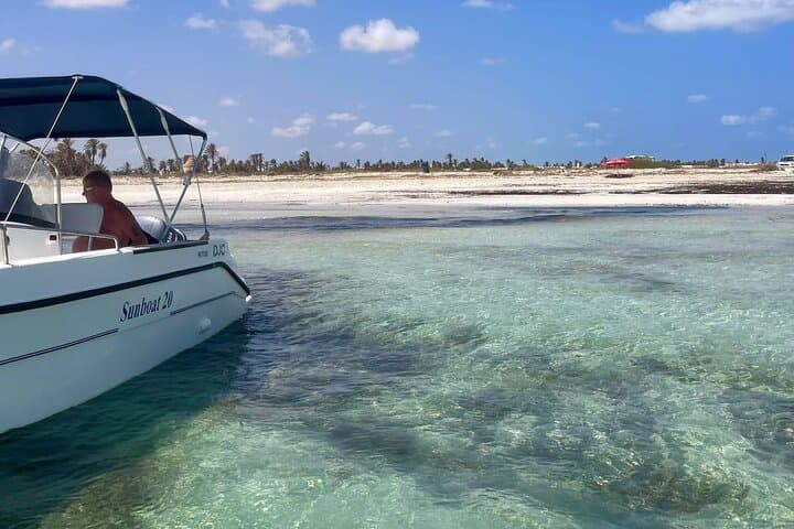Djerba 1.5-Hour Dolphin Cruise with Swimming in Turquoise Waters photo 5