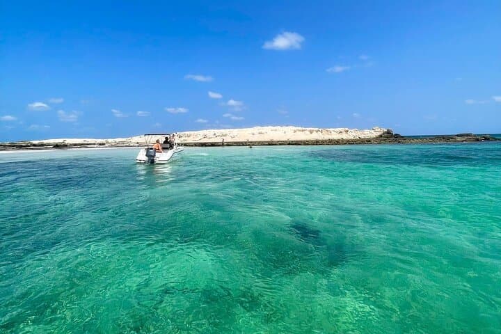 Djerba 1.5-Hour Dolphin Cruise with Swimming in Turquoise Waters photo 6