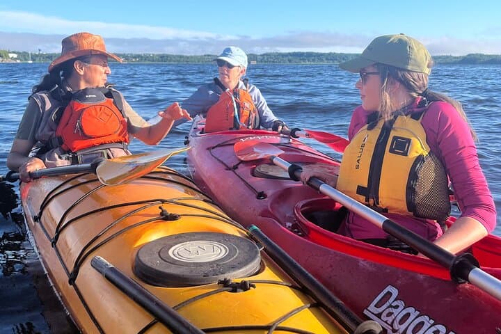 River Relics Kayaking Adventure on the Saint John River from Dominion Park photo 2