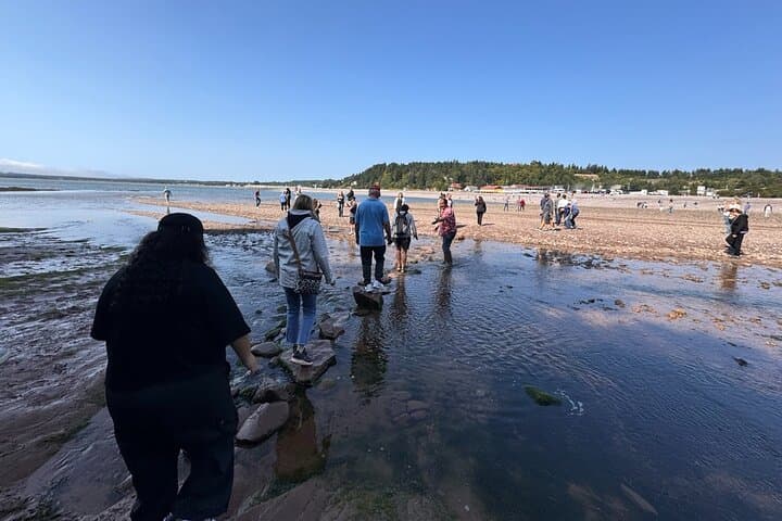 Fundy Shore Tour By Bus: Reversing Falls, St. Martins & Fundy Trail photo 5