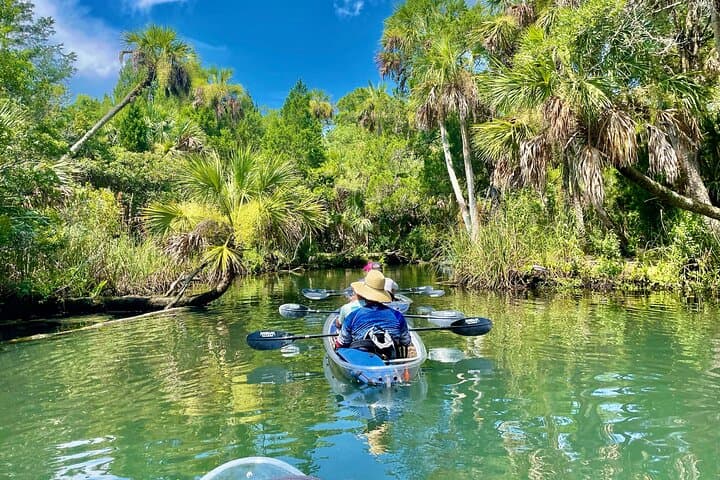 Chassahowitzka River Clear Kayak: Springs, Manatees & Hidden Creeks photo 2