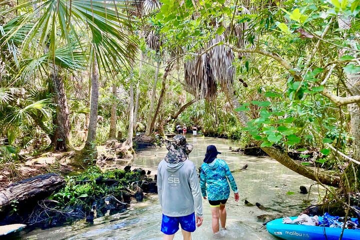 Chassahowitzka River Clear Kayak: Springs, Manatees & Hidden Creeks photo 3