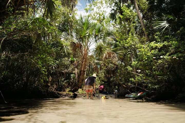 Chassahowitzka River Clear Kayak: Springs, Manatees & Hidden Creeks photo 4