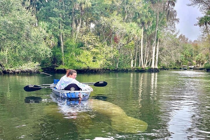 Chassahowitzka River Clear Kayak: Springs, Manatees & Hidden Creeks photo 5