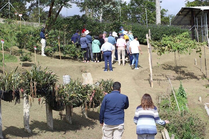 Medellín Coffee Experience: Private Premium Coffee & Tasting Tour photo 6