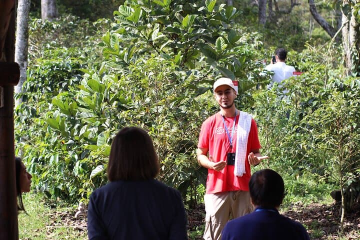 Medellín Coffee Experience: Private Premium Coffee & Tasting Tour photo 2
