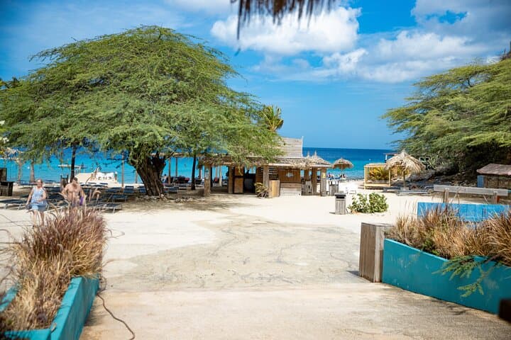 Hato Plains UTV: Buggy to Beach Snorkel — Willemstad Adventure photo 6