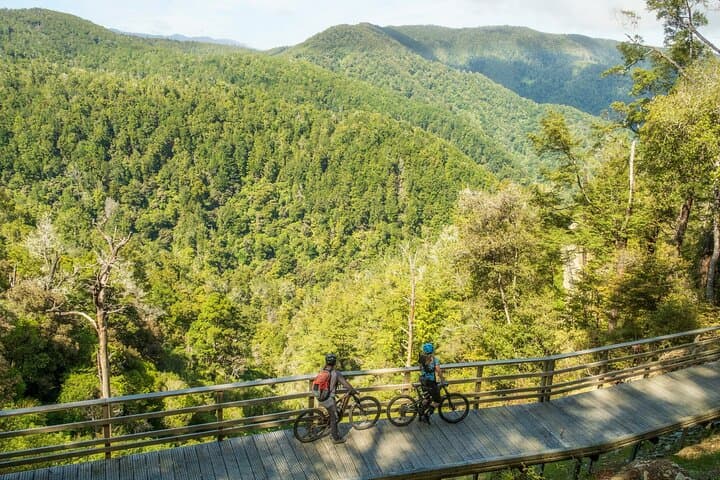 Half-Day Guided Mountain Biking in Nelson: Ride Local Singletrack & Improve Skills