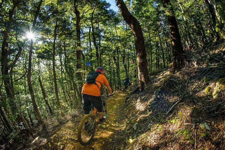 Half-Day Guided Mountain Biking in Nelson: Ride Local Singletrack & Improve Skills photo 4