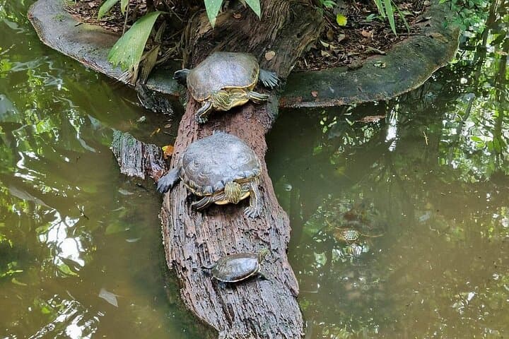 Jaguar Rescue Center & Cahuita National Park Day Tour from Puerto Viejo photo 3