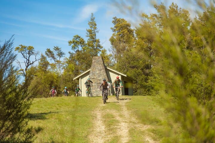 Half-Day Guided Mountain Biking in Nelson: Ride Local Singletrack & Improve Skills photo 5
