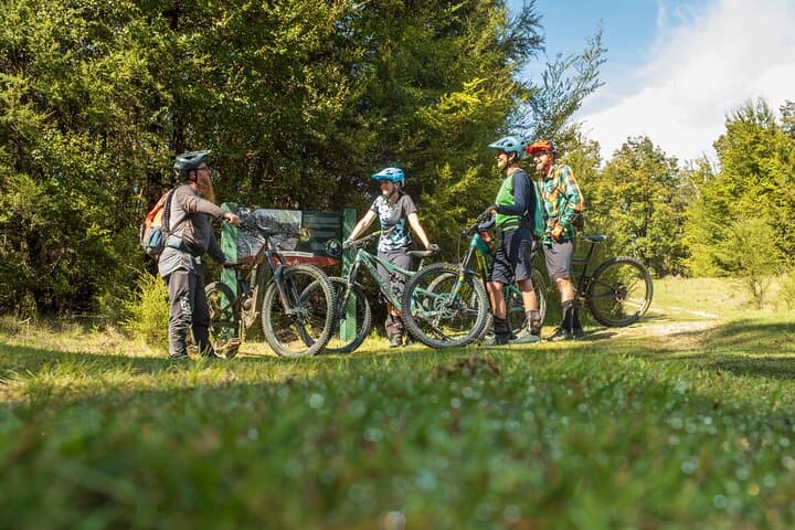 Half-Day Guided Mountain Biking in Nelson: Ride Local Singletrack & Improve Skills photo 6