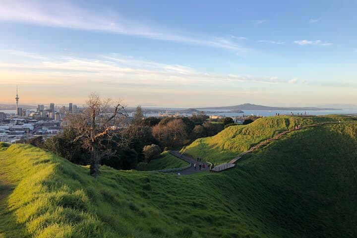 Private Auckland Tour: Full-Day Maunga-to-Harbour Experience