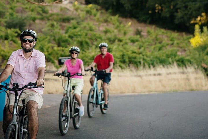 Electric Bike Wine Tasting in Sonoma: Half-Day Guided Ride with Lunch photo 2