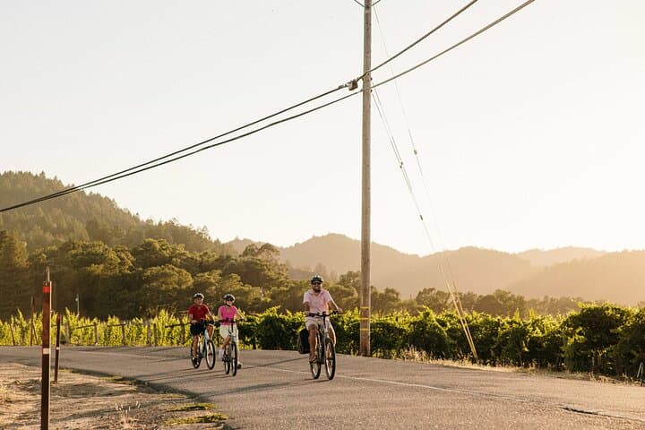 Electric Bike Wine Tasting in Sonoma: Half-Day Guided Ride with Lunch photo 3