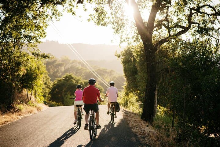Electric Bike Wine Tasting in Sonoma: Half-Day Guided Ride with Lunch photo 4