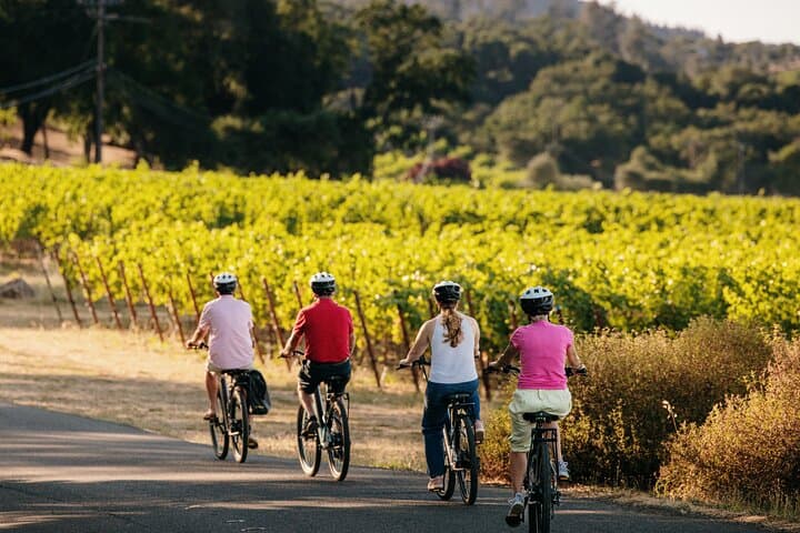 Electric Bike Wine Tasting in Sonoma: Half-Day Guided Ride with Lunch photo 5
