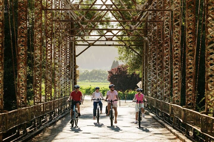Electric Bike Wine Tasting in Sonoma: Half-Day Guided Ride with Lunch