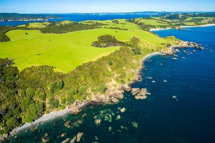 Matakana Coast Explorer — Sculpture Parks, Coastal Walks and Winery Lunch