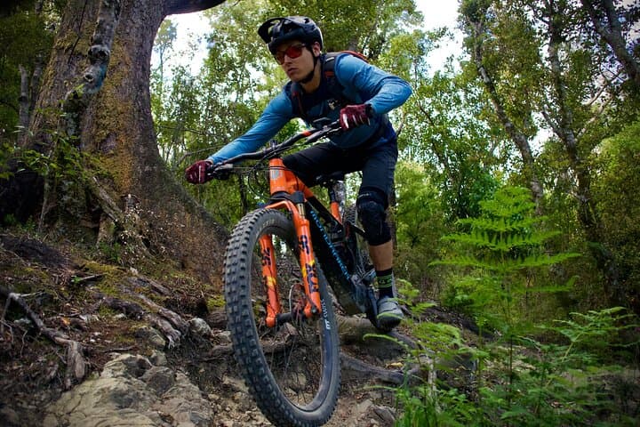 Half-Day Nelson Electric Mountain Bike Rental: 4-Hour eMTB on Codgers and Coppermine Trails photo 3