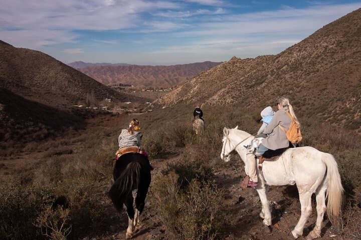 Mendoza Andes Horseback Ride to 2,500m with Asado & Wine photo 5