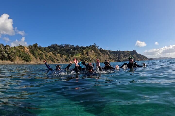 Auckland Dive Refresher Course at Goat Island Marine Reserve — Update Your Skills Before Diving photo 2