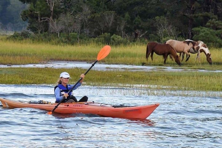 Chincoteague Kayak Rentals Around Assateague Island — Paddle to Wild Ponies & Coastal Wildlife photo 2