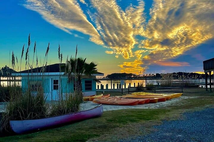 Canoe Around Assateague: Chincoteague Paddling & Pony-Watching Day Trip