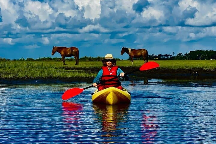 Canoe Around Assateague: Chincoteague Paddling & Pony-Watching Day Trip photo 2