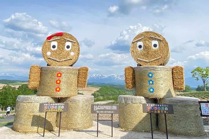Furano & Biei Complete Day Tour: Lavender Fields, Blue Pond & Shirahige Falls photo 6