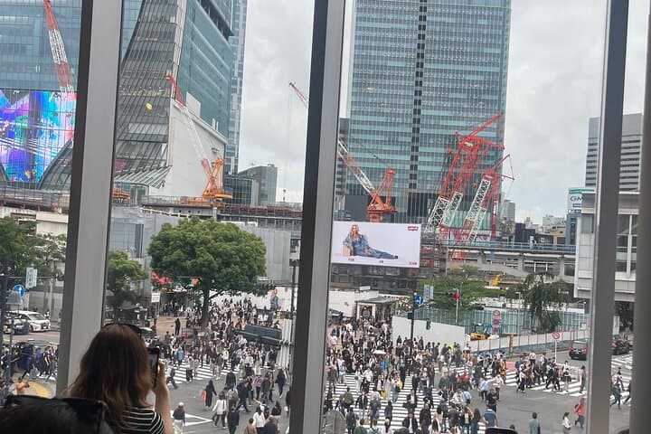 Private 7-Day Japan Itinerary: Tokyo, Mt. Fuji, Kyoto, Nara & Osaka photo 3