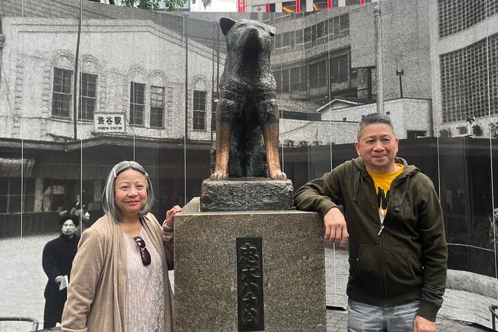 Private 7-Day Japan Itinerary: Tokyo, Mt. Fuji, Kyoto, Nara & Osaka photo 4