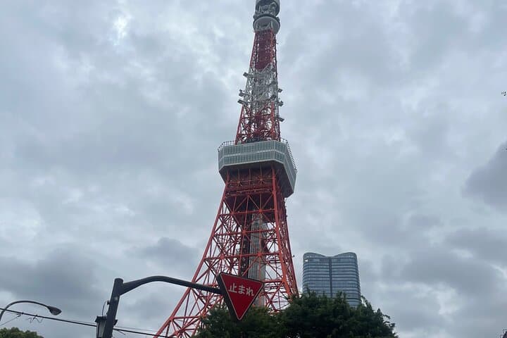 Private 7-Day Japan Itinerary: Tokyo, Mt. Fuji, Kyoto, Nara & Osaka photo 5