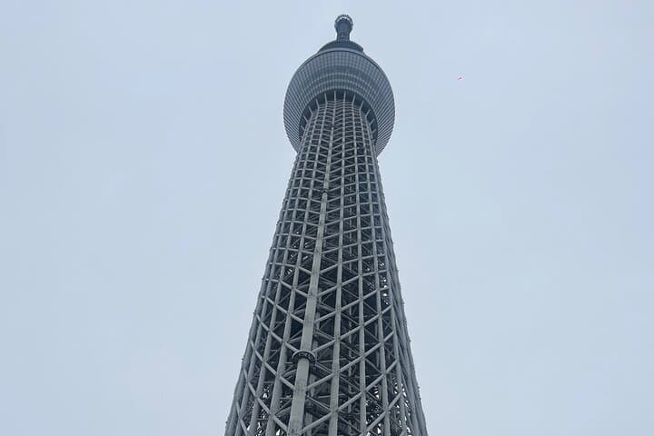 Private 7-Day Japan Itinerary: Tokyo, Mt. Fuji, Kyoto, Nara & Osaka photo 6