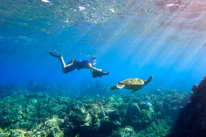 Lahaina Jet Scooter Snorkeling: Small-Group Sea Scooter Tour at Mala Wharf